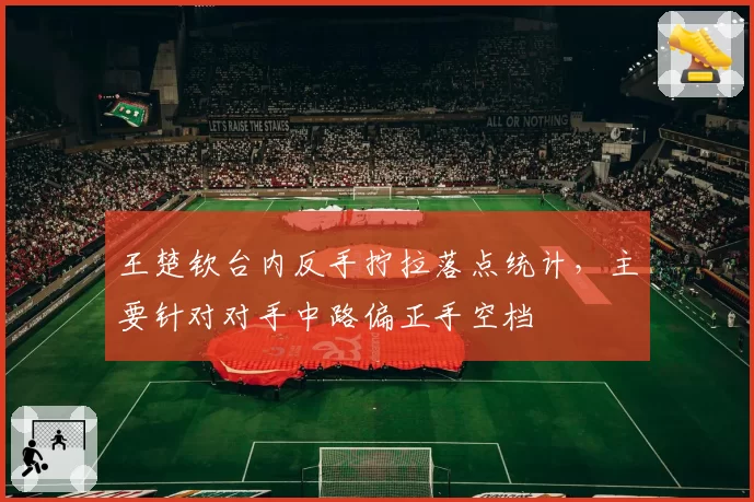 王楚钦台内反手拧拉落点统计,主要针对对手中路偏正手空档
