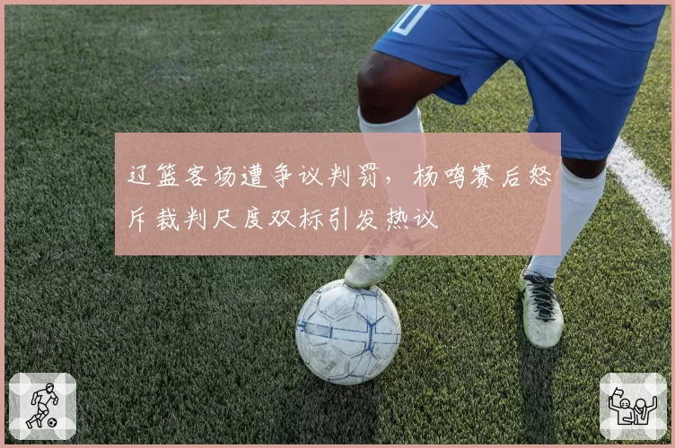 辽篮客场遭争议判罚，杨鸣赛后怒斥裁判尺度双标引发热议