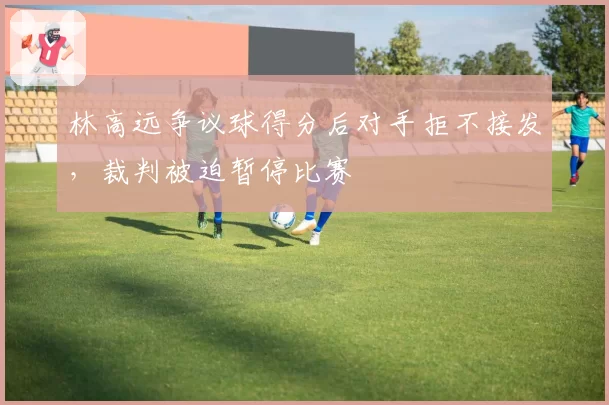 林高远争议球得分后对手拒不接发，裁判被迫暂停比赛