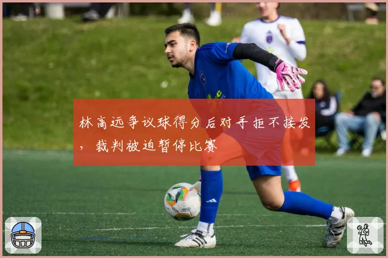 林高远争议球得分后对手拒不接发,裁判被迫暂停比赛