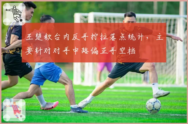 王楚钦台内反手拧拉落点统计,主要针对对手中路偏正手空档